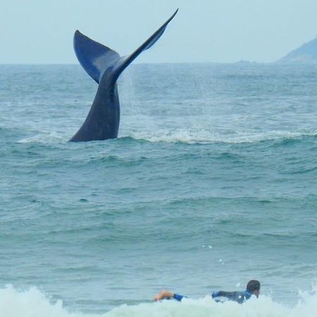 Tranquilidade Na Praia Da Gamboa Garopaba Eksteriør billede